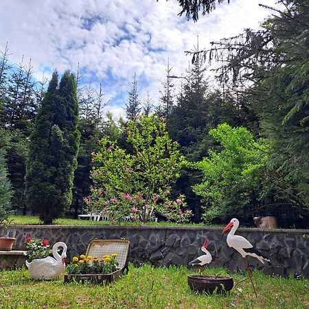 Pensiunea Colina Poiana Brasov Exterior foto