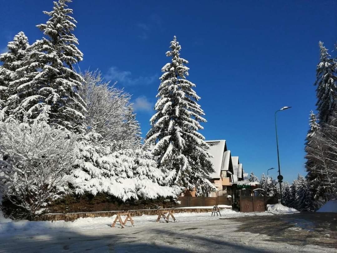 Pensiunea Colina Poiana Brasov Exterior foto