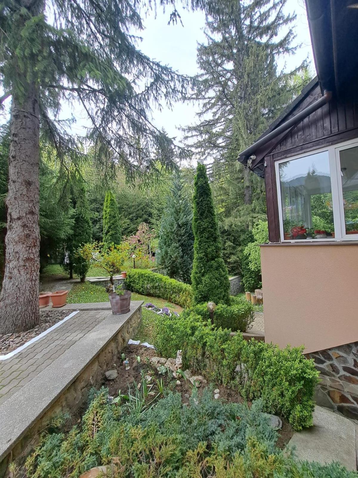 Pensiunea Colina Poiana Brasov Exterior foto