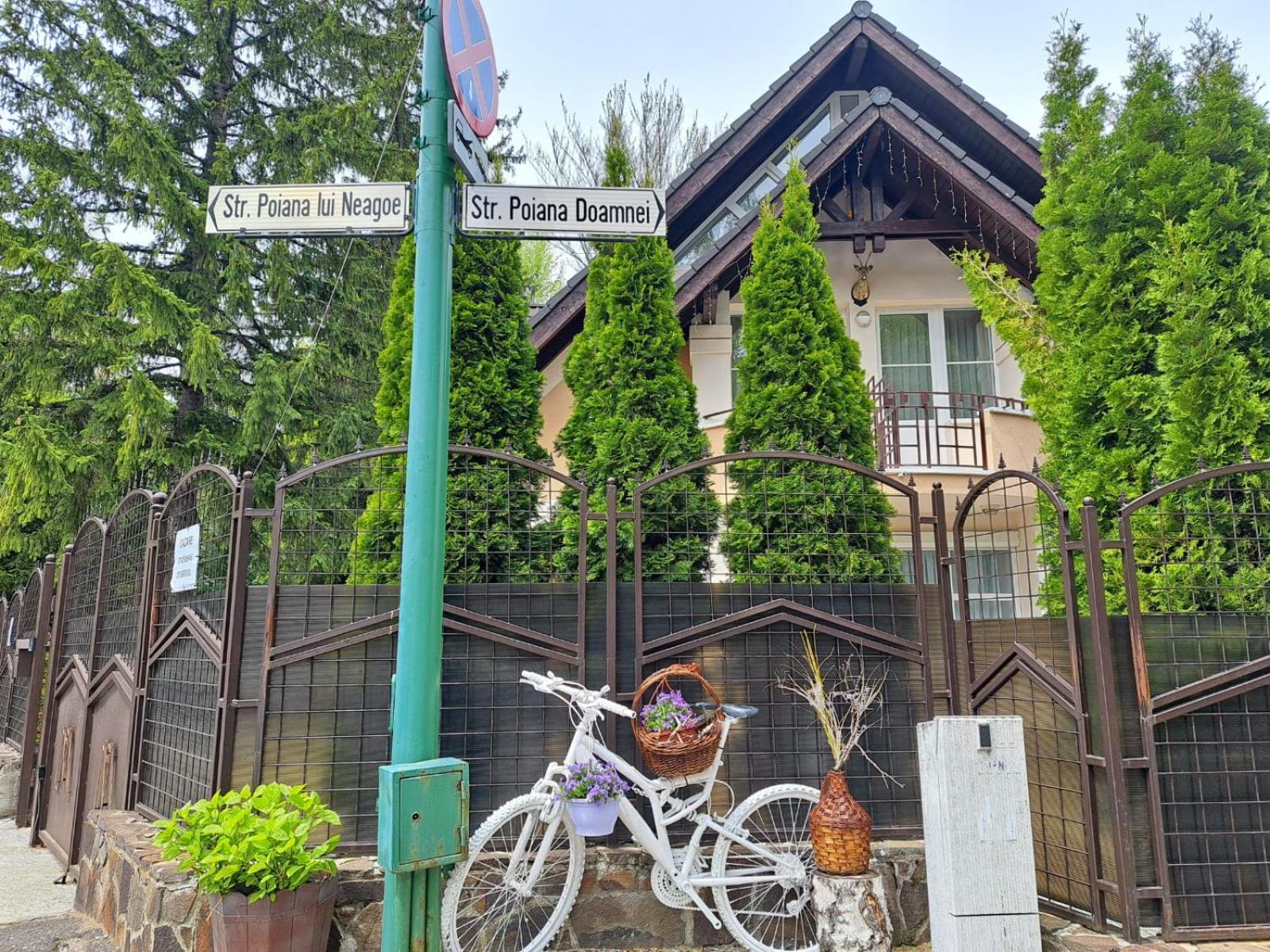 Pensiunea Colina Poiana Brasov Exterior foto