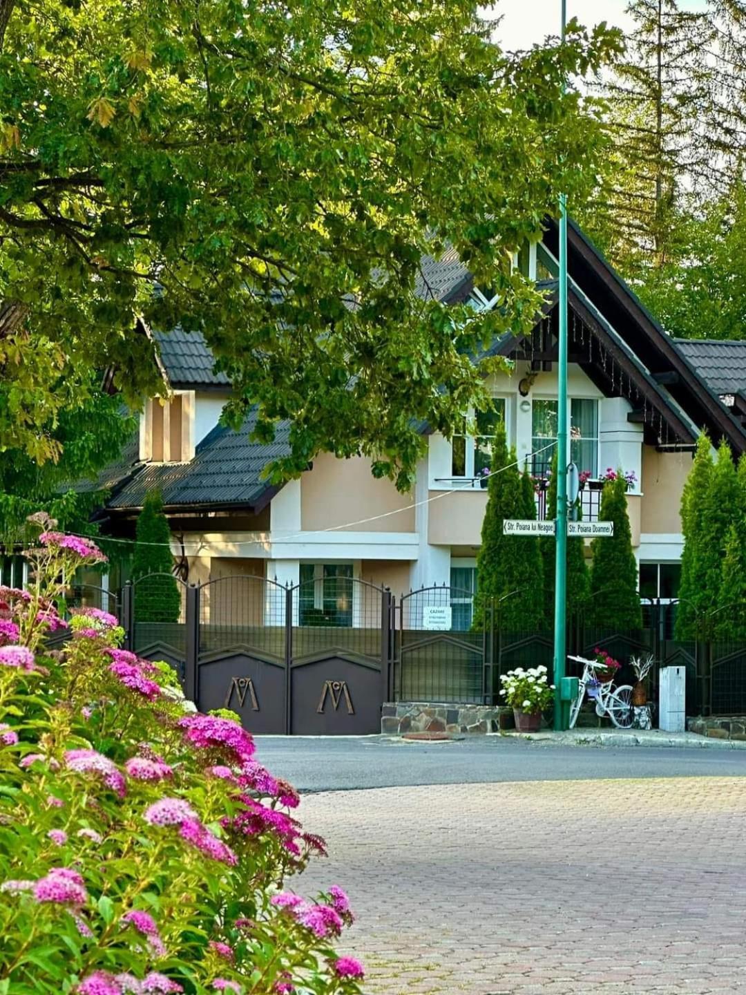 Pensiunea Colina Poiana Brasov Exterior foto