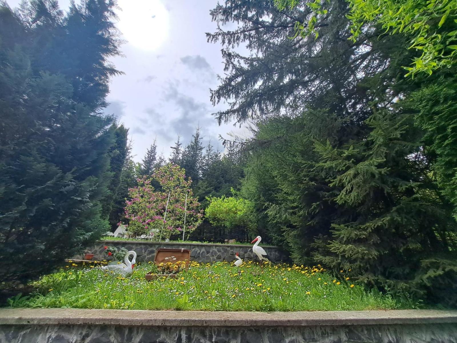 Pensiunea Colina Poiana Brasov Exterior foto