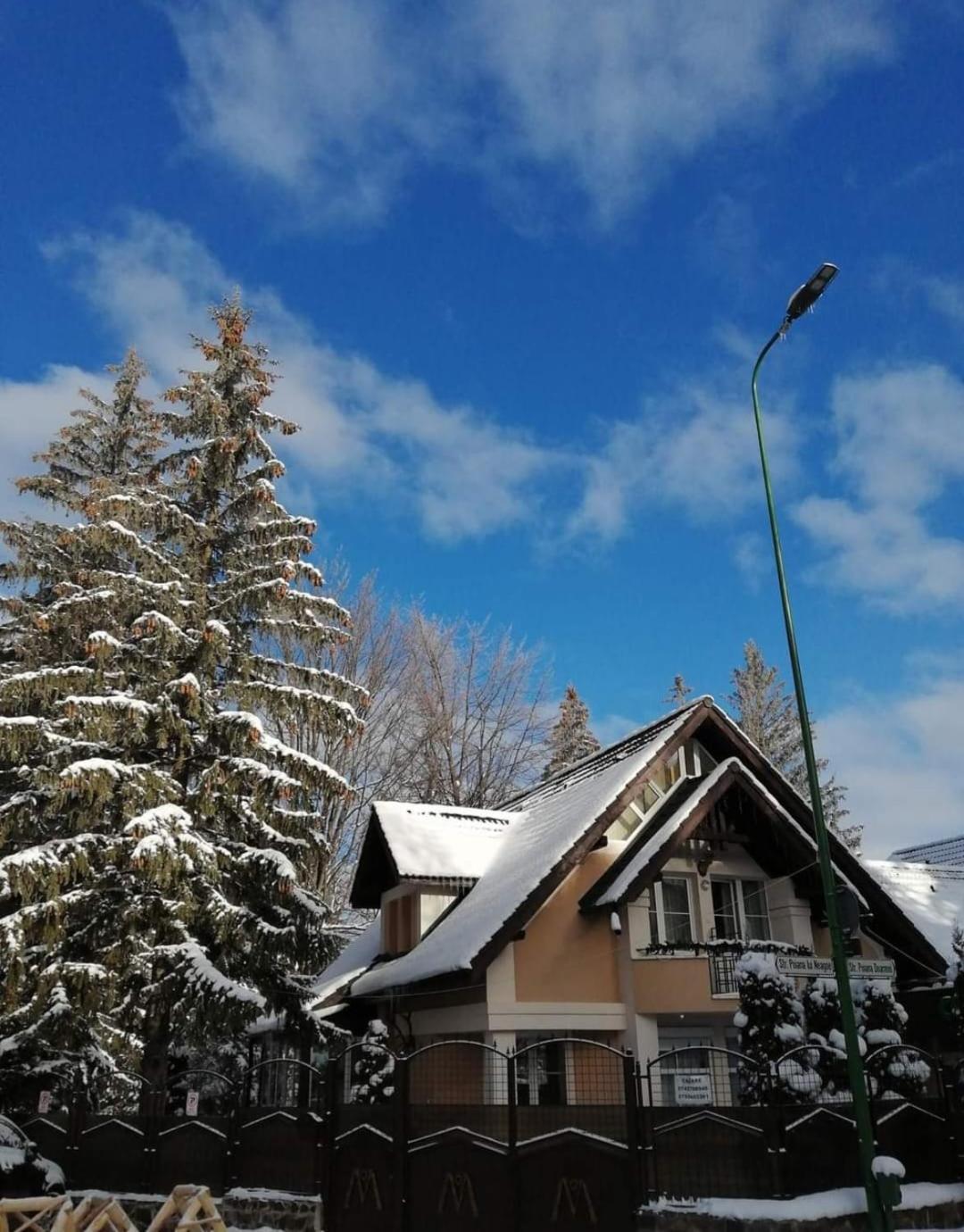 Pensiunea Colina Poiana Brasov Exterior foto