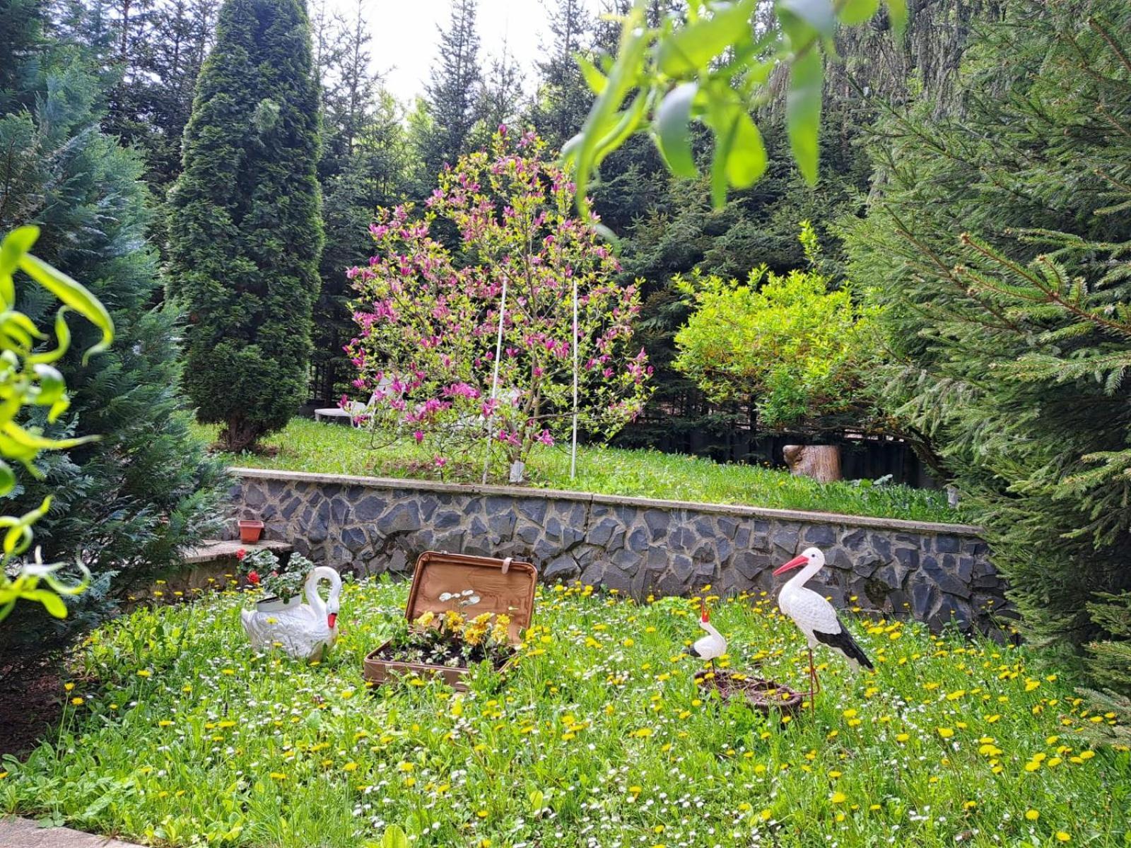 Pensiunea Colina Poiana Brasov Exterior foto