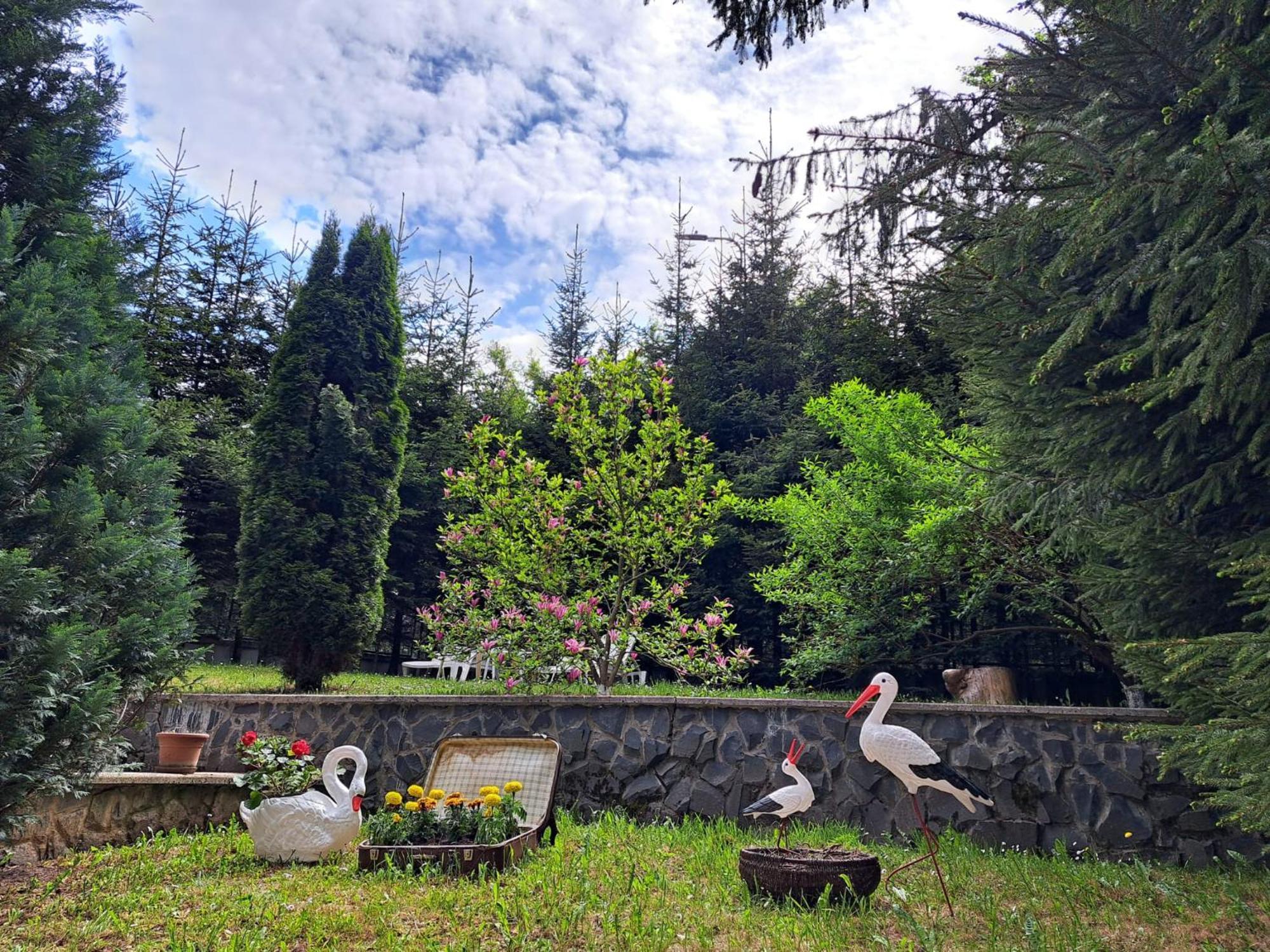 Pensiunea Colina Poiana Brasov Exterior foto