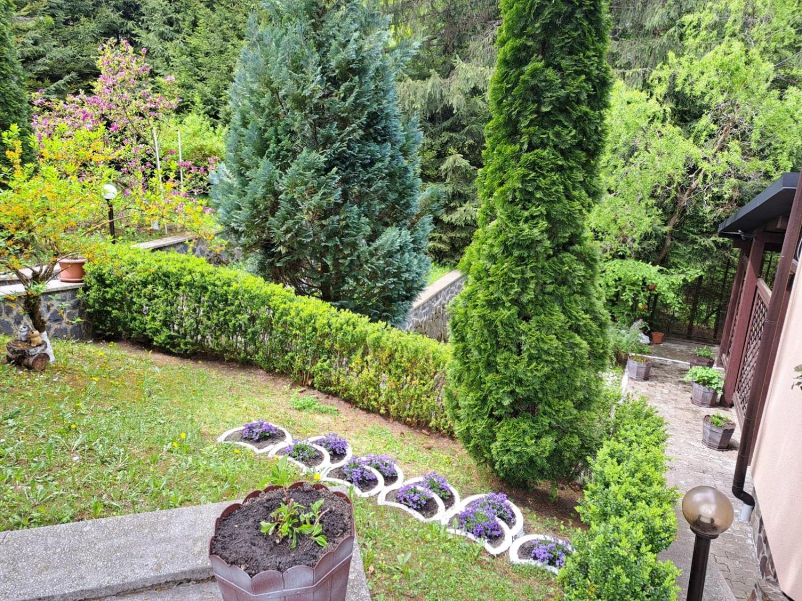 Pensiunea Colina Poiana Brasov Exterior foto