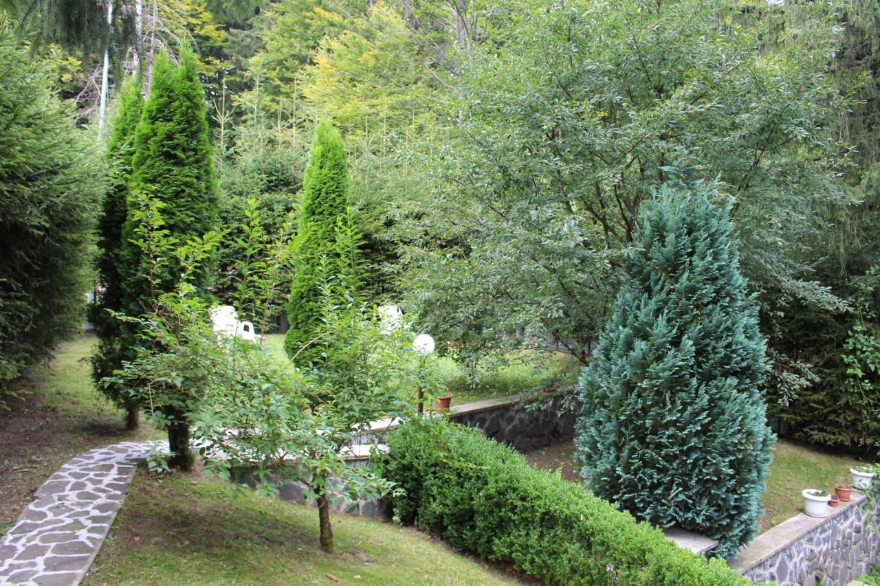 Pensiunea Colina Poiana Brasov Exterior foto