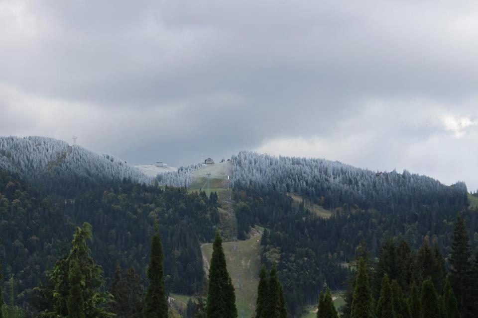 Pensiunea Colina Poiana Brasov Exterior foto