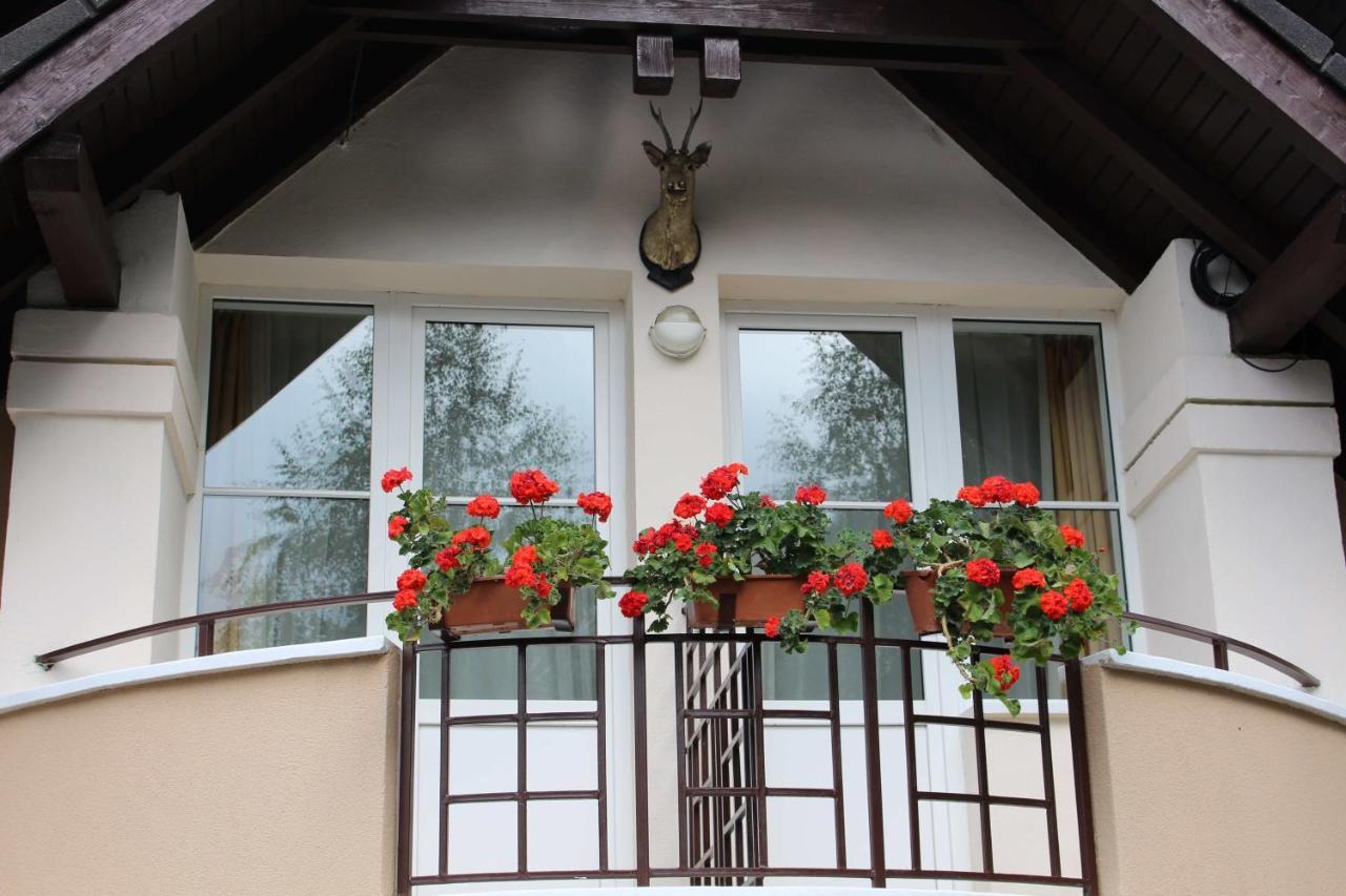 Pensiunea Colina Poiana Brasov Exterior foto
